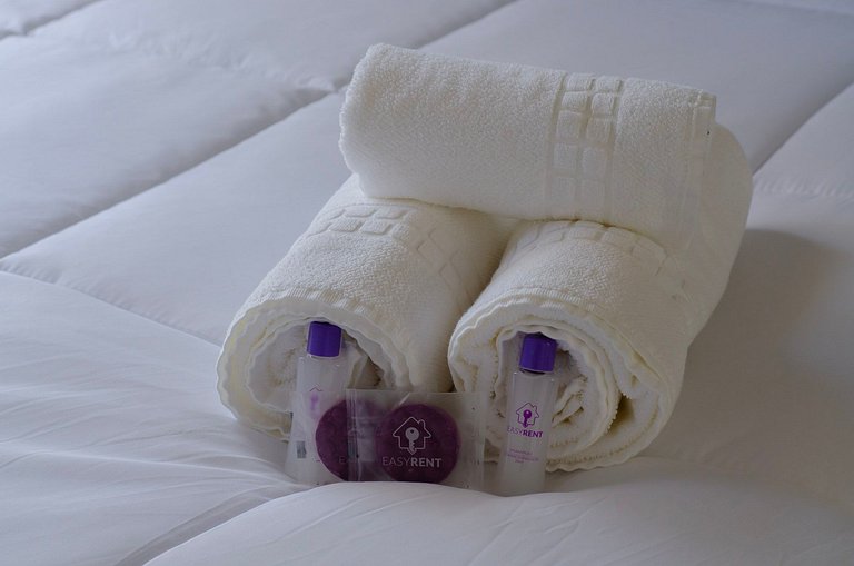 Belo apto de 2 dorms C/ varanda e ar-condicionado