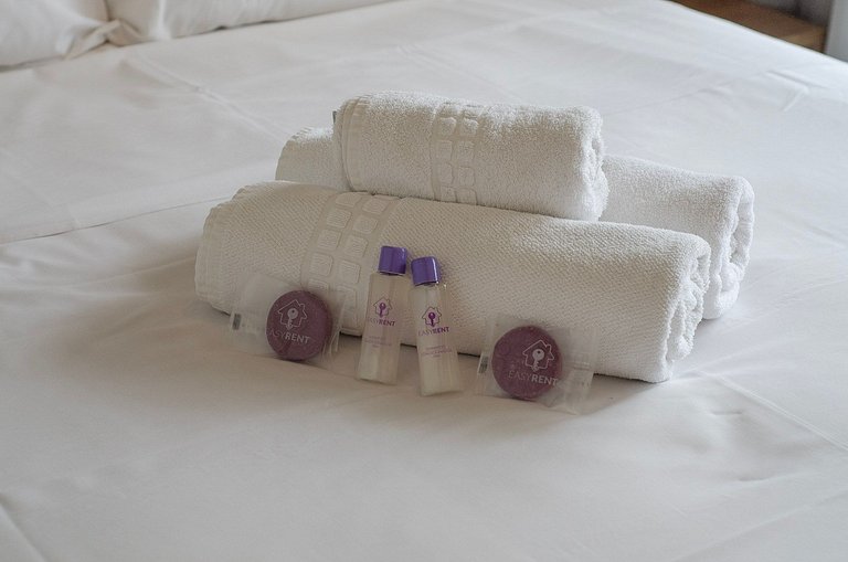 Belo apto de 2 dorms C/ varanda e ar-condicionado